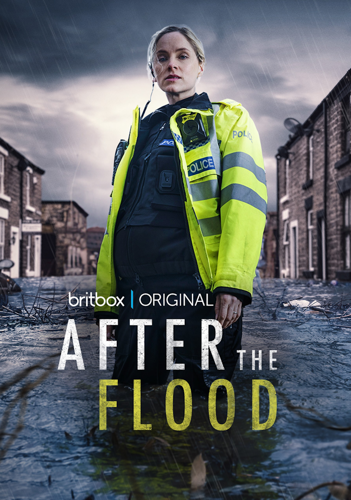 After the flood poster